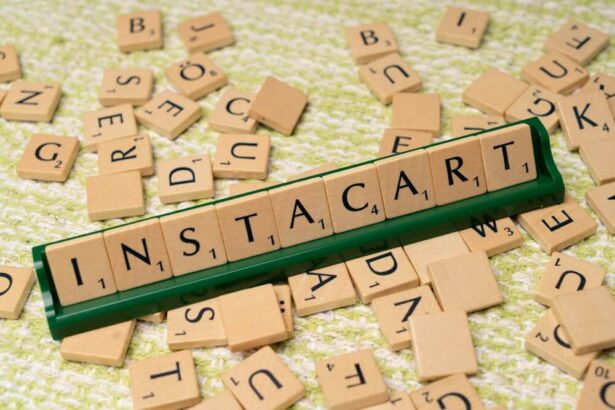 The Economics of Delivery Services: Breaking Down Instacart Pay and Profitability