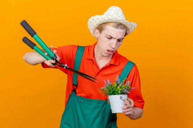 Why Investing in High-Quality Garden Tools Saves Time and Effort