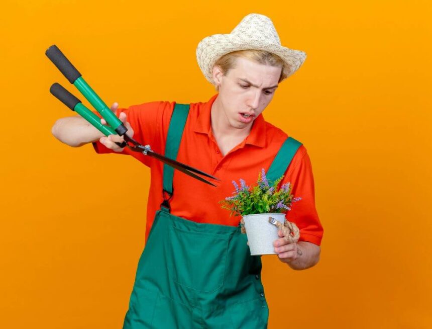 Why Investing in High-Quality Garden Tools Saves Time and Effort